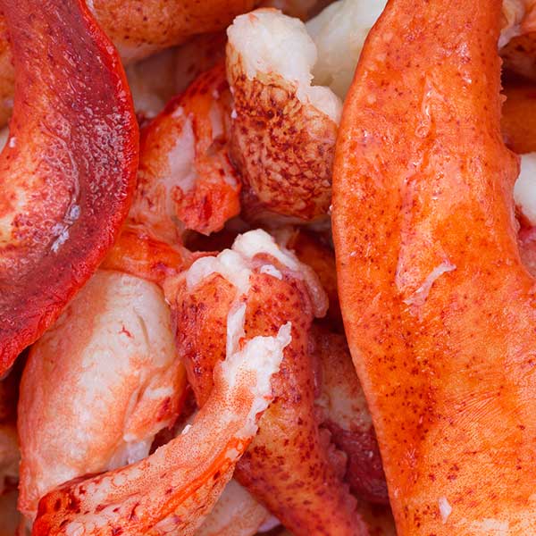 Maine Lobster Meat
