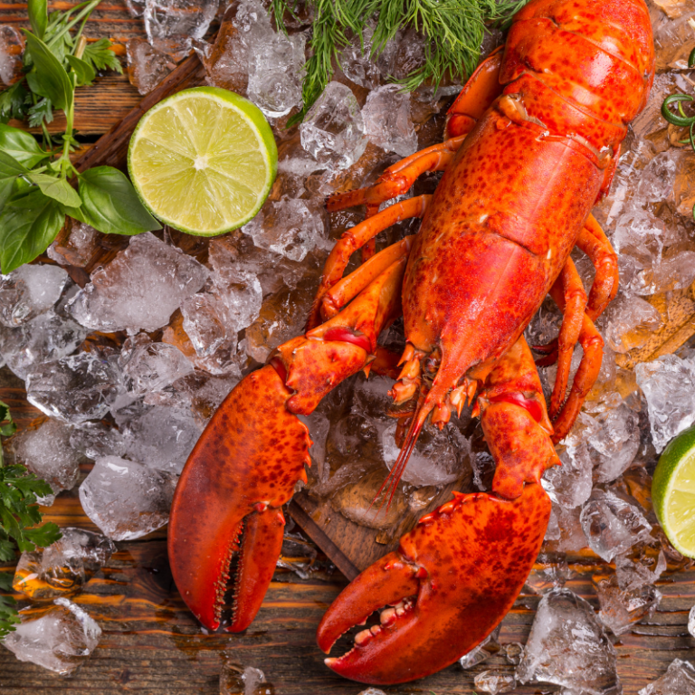 Fresh & Live Maine Lobster: Sustainably Caught & Shipped Direct