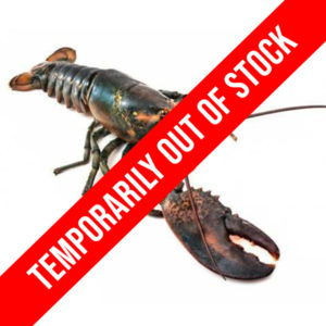 Live Maine Lobster Archives | LOBSTER 207