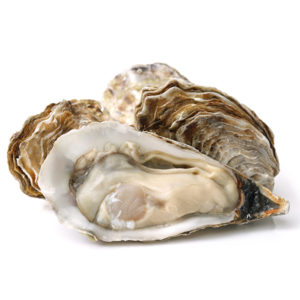 Maine Oysters Shipped by the Dozen